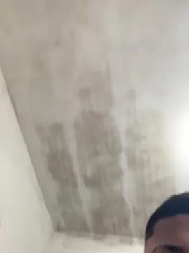 Cam4 Live Sex of willyams4