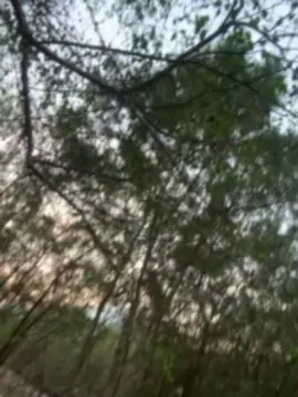 Cam4 Live Sex Cam of Outdoorsd