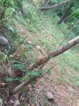 Cam4 Free Live Porn of Outdoorsd