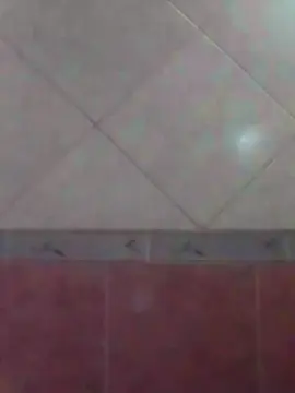 Cam4 Sex Cam of camcamcami