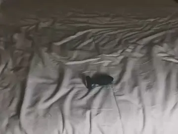 Cam4 Private Sex Chat of Deepsucker05