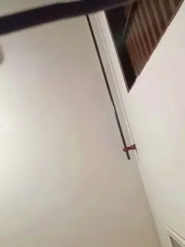 Cam4 Live Sex of kelts