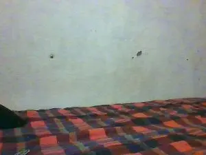 Cam4 Free Porn Cam of c69spunk