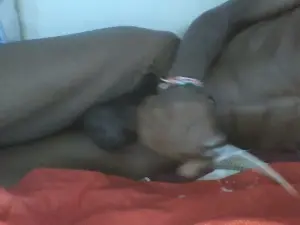 Cam4 Free Live Porn of noella231