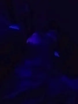 Cam4 Free Live Porn of hardsexlove08