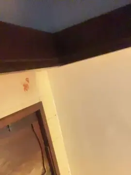 Cam4 Sex Cam of joao_xc