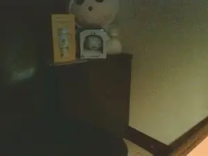 Cam4 Live Sex of win20689883