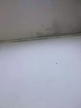 Cam4 Live Porn of Gotziano77