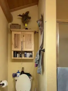 Cam4 Live Porn of Tsllihc5255