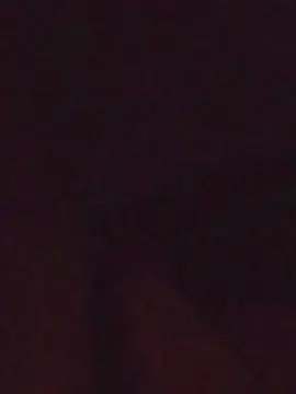 Cam4 Free Live Porn of paulosexy