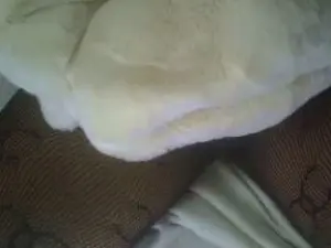 Cam4 Sex Cam of Annaelle234