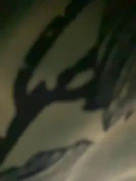 Cam4 Adult Webcam of mucilondogera