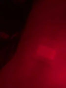 Cam4 Free Porn Cam of NiceBigCock