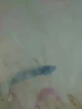 Cam4 Live Porn of desconhecido42