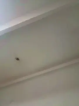 Cam4 Live Porn of Niette7