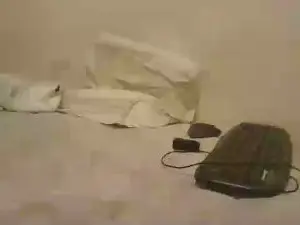 Cam4 Adult Video Chat of lincon7_sexy