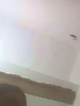 Cam4 Live Sex Cam of PIKABOA