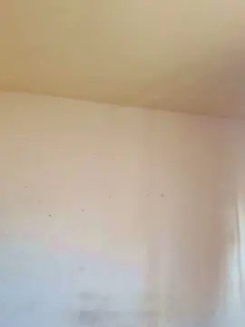 Cam4 Free Live Porn of Novinhosacana18