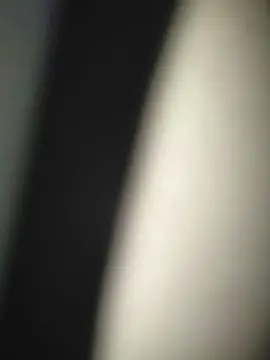 Cam4 Best Webcam of Intimocd