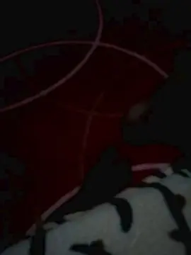 Cam4 Watch Live Sex Cams of pirocudogostoso