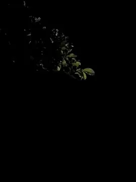 Cam4 Best live sex cam show of Sexylatinogay