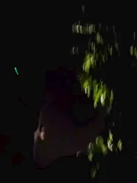 Cam4 Free Porn Cam of Sexylatinogay