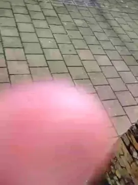 Cam4 Free Live Porn of Sexylatinogay