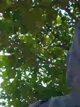 Cam4 Sex Cam of Sexylatinogay