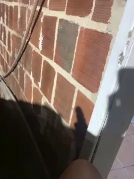 Cam4 Free Live Porn of Lucasbezerra6