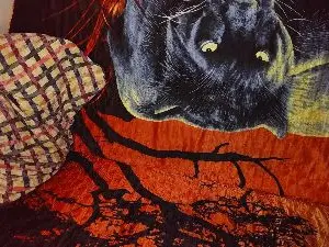 Cam4 Free Porn Cam of jamismu