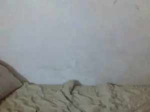 Cam4 Live Porn of perv94xxx