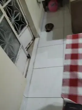 Cam4 Live Porn of Chef_hot351