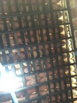 Cam4 Sex Chat of Galego0007