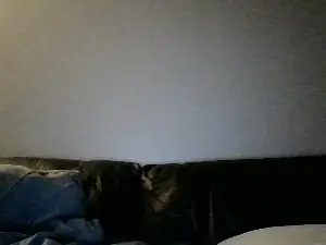 Cam4 Free Live Porn of randoman02