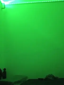 Cam4 Adult Video Chat of antonella228