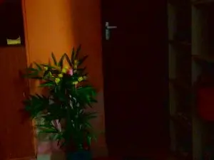Cam4 Live Porn of Darktina