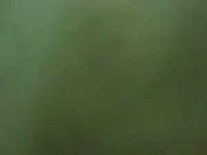 Cam4 Free Porn Cam of matty_0303