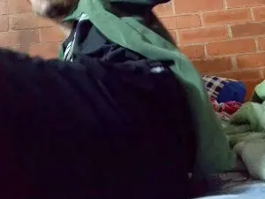 Cam4 Adult Webcams of johan70sexy