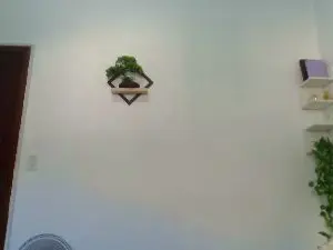 Cam4 Free Live Porn of guto356