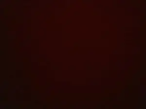 Cam4 Sex Cam of sweettightsara