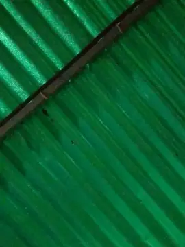 Cam4 Sex Chat of Alex18sroc