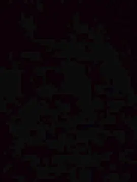 Cam4 Sex Cam of Dot085