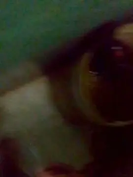 Cam4 Adult Video Chat of Yovvng_Poringa