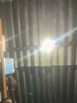 Cam4 Live Porn of Japinha_