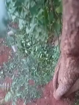 Cam4 Watch Live Sex Cams of rg45674