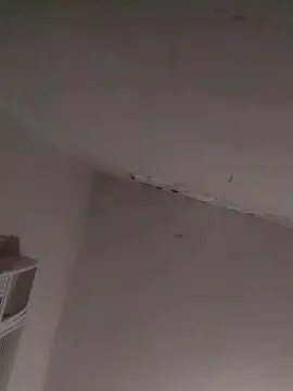 Cam4 Free Porn Cam of agos41