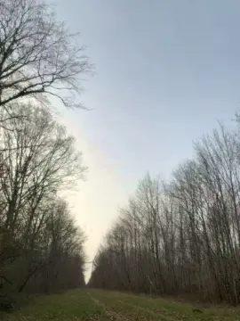 Cam4 Adult Video Chat of Xtoto52x