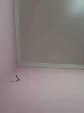 Cam4 Free Porn Cam of novinho1978