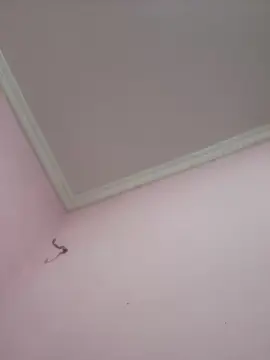 Cam4 Live Porn of novinho1978