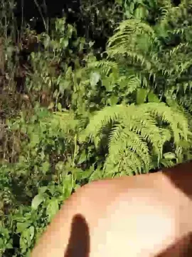 Cam4 Free Live Porn of Dotgostoso